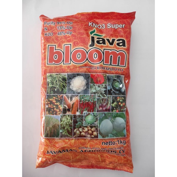 Jual Java Bloom Kno Kg Shopee Indonesia