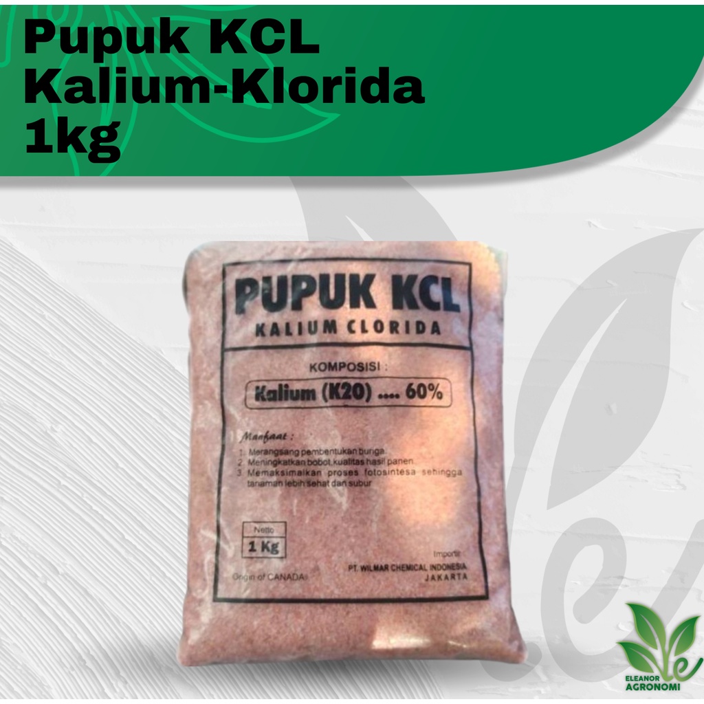 Jual Pupuk Kcl Kalium Klorida Kg Kualitas Super Original Shopee