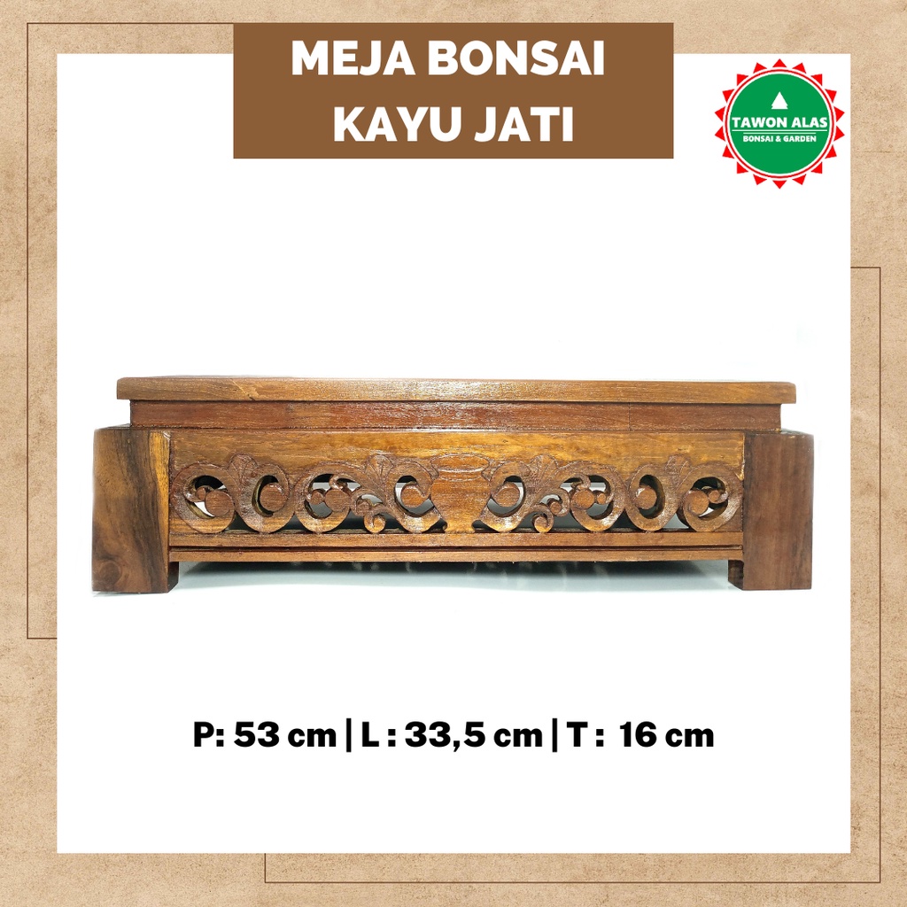 Jual Meja Bonsai Kayu Jati Shopee Indonesia