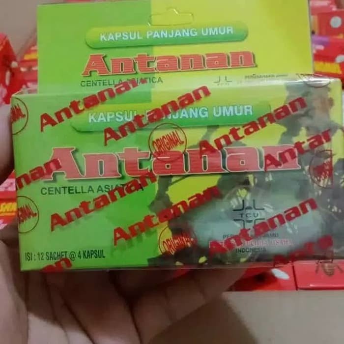 Jual KAPSUL ANTANAN 100 ORIGINAL OBAT PEGAL LINU ASAM URAT PANJANG