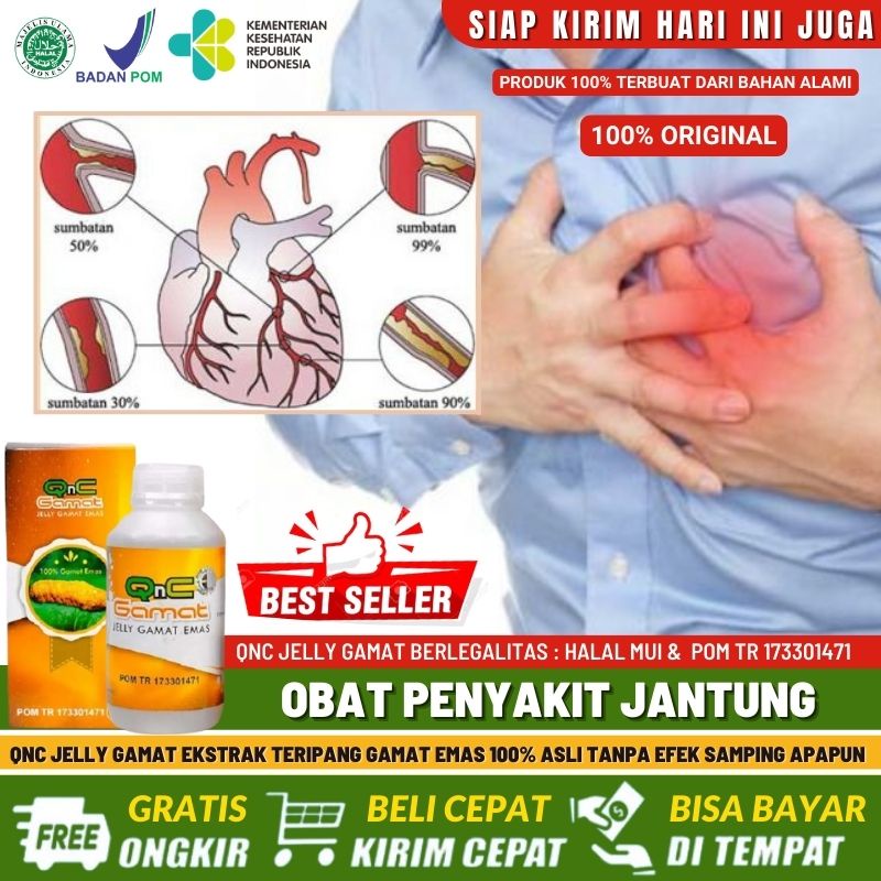 Jual Qnc Jelly Gamat Obat Terlaris Khusus Penyakit Jantung Herbal