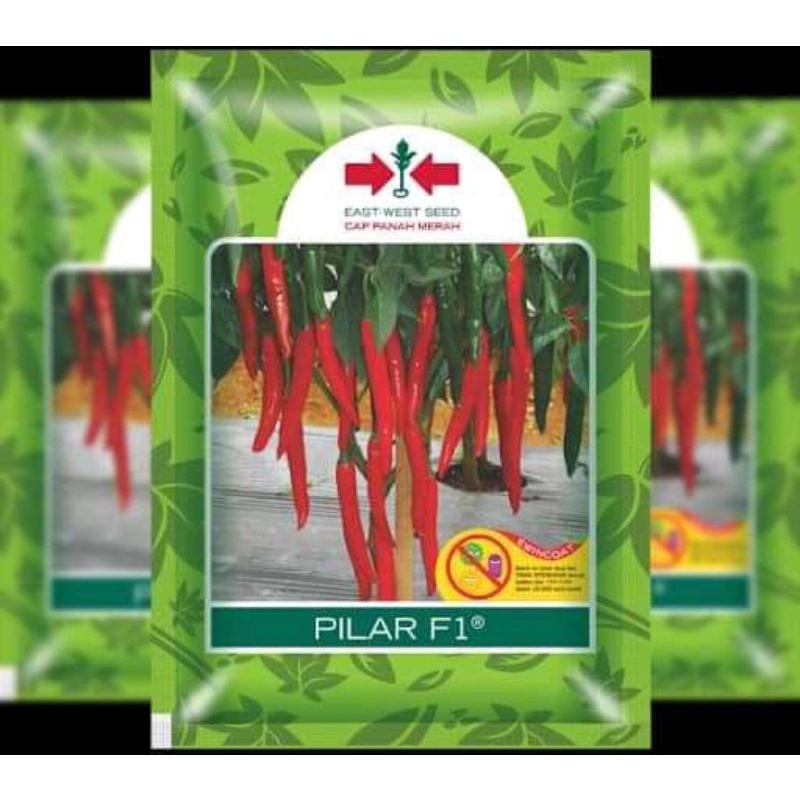 Jual Benih Bibit Cabe Besar Pilar F1 Isi 1750 Butir Cap Panah Merah