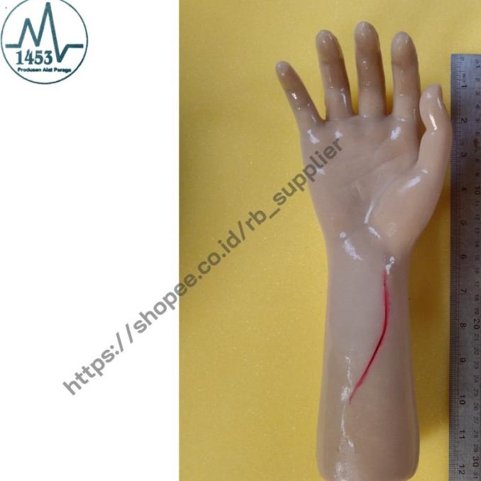 Jual Manikin Model Tangan Luka Akut Alat Peraga Phantom Manekin Jenis