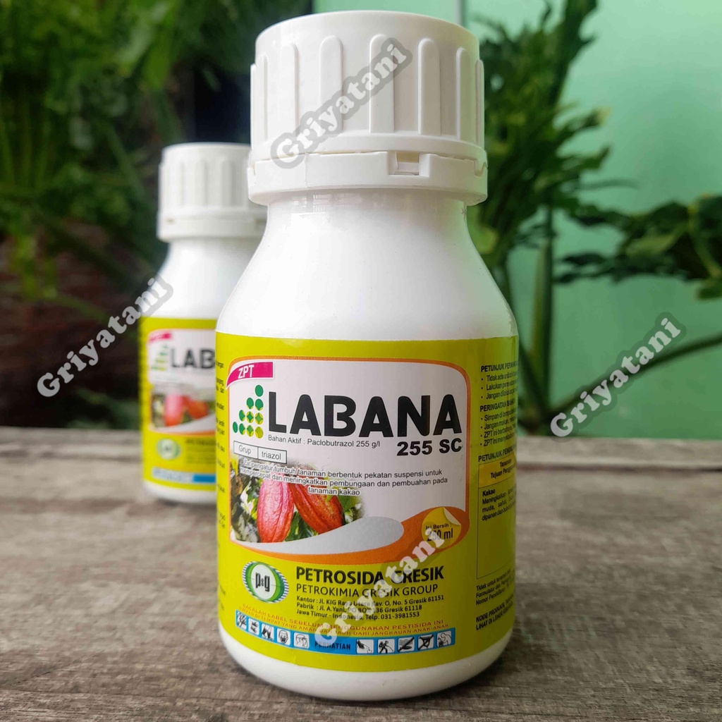 Jual ZPT Paklobutrazol Labana 255 SC 250 Ml Shopee Indonesia