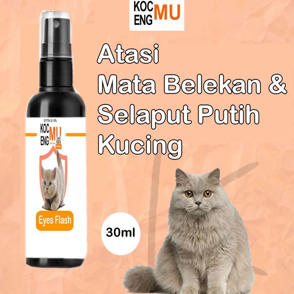 Jual Obat Mata Kucing Obat Sakit Mata Kucing Spray Kocengmu 30ml