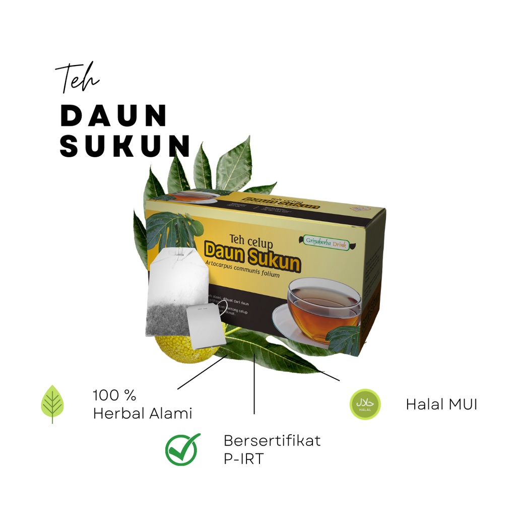 Jual Teh Daun Sukun Griya Herba Mengobati Penyakit Jantung Original Isi