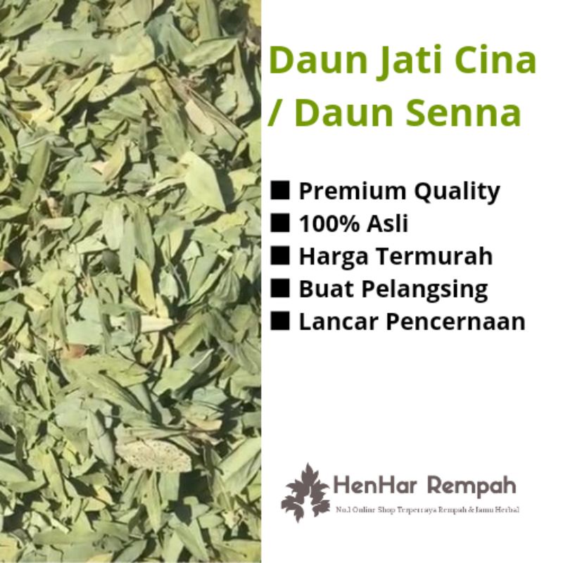 Jual Daun Jati Cina Daun Senna 1 Kg Shopee Indonesia