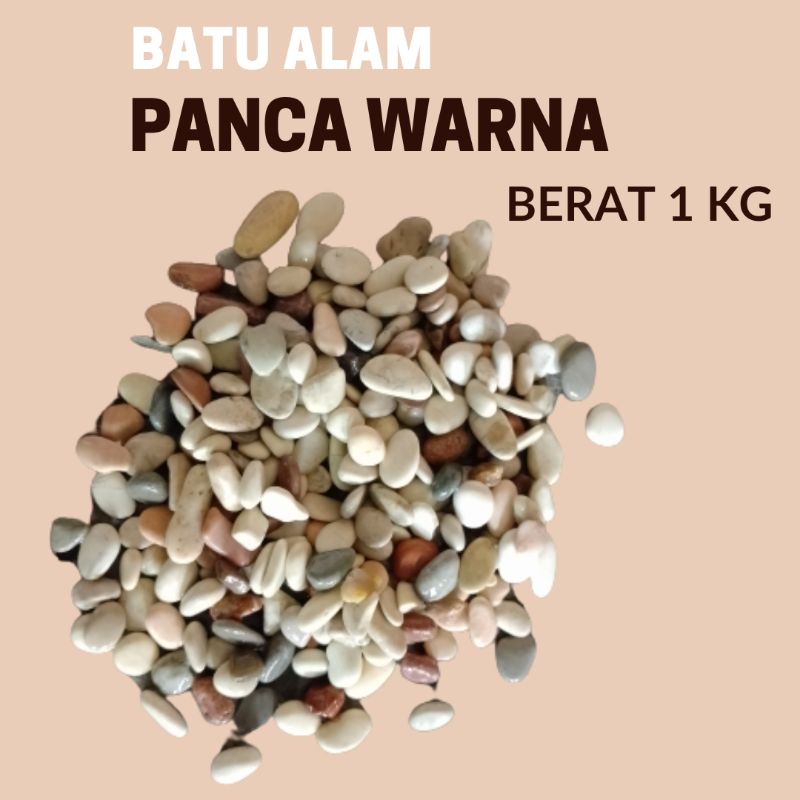 Jual Batu Panca Warna Kg Batu Alam Batu Aquarium Batu Tanaman Hias