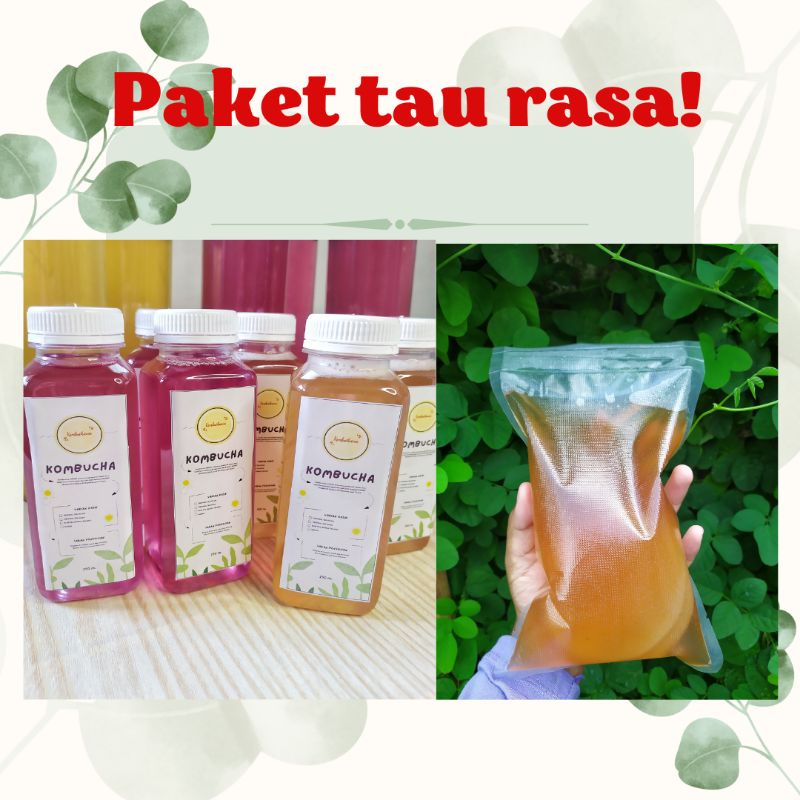 Jual Paket Kombucha Siap Minum Dan Bibit Kombucha Bibit Scoby Murah