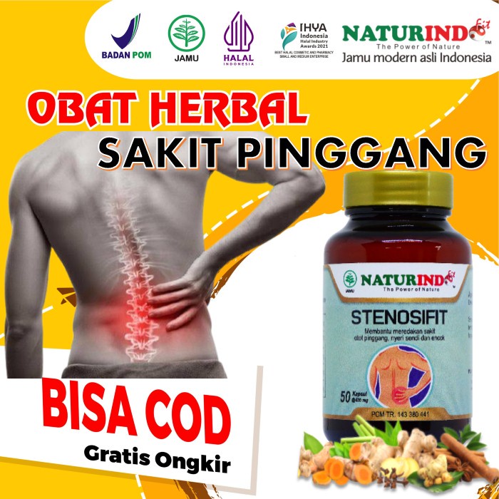 Jual Obat Herbal Sakit Pinggang Syaraf Saraf Kejepit Terjepit Obat