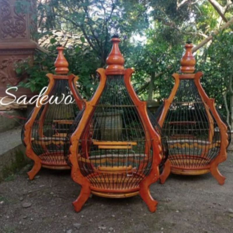 Jual Sangkar Perkutut Model Bawang Tangkringan Kayu Asem Shopee Indonesia