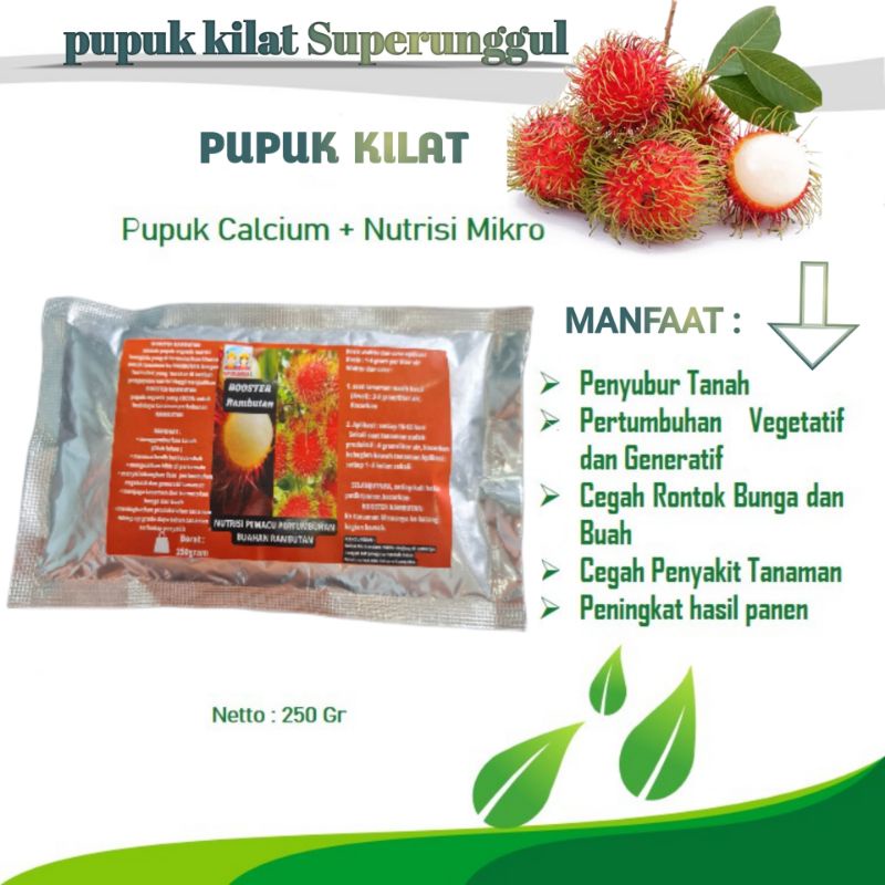 Jual Pupuk Booster Organik Pelebat Buah Rambutan Dan Perangsang Agar