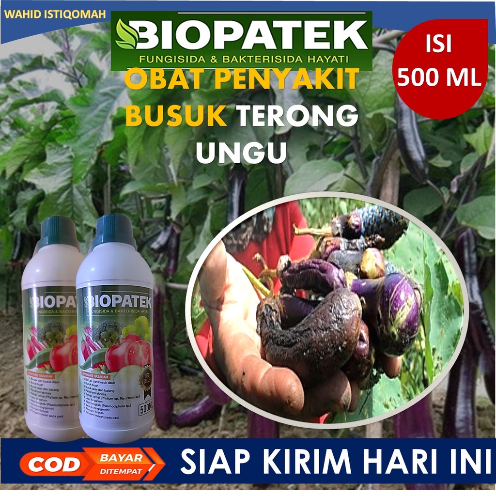 Jual Ml Biopatek Fungsida Dan Bakterisidan Hayati Obat Busuk Akar