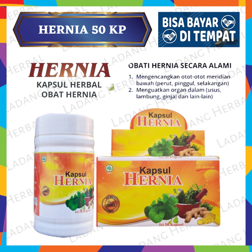 Jual Hernia Kapsul Hernia Original Isi 50 Kapsul Ash Shihhah Kapsul