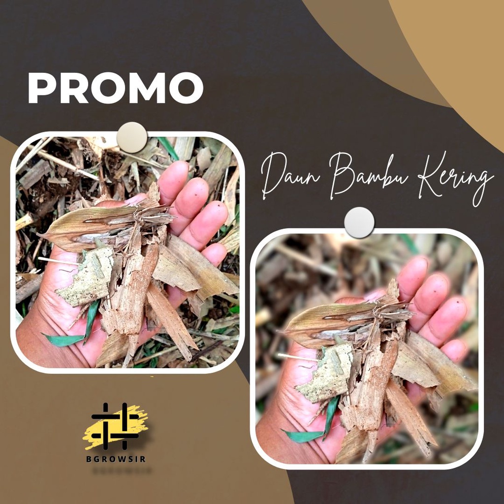 Jual Media Tanam Daun Bambu Kering Shopee Indonesia