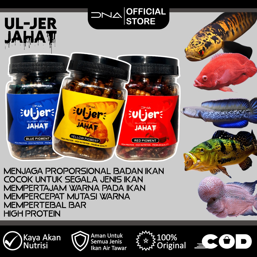 Jual ULJER SUPERWORM KERING JAHAT Pakan Untuk Tinggi Akan Protein Ulat