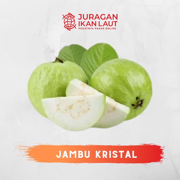 Jual Buah Jambu Kristal Segar Berkualitas 1 Kilogram Shopee Indonesia