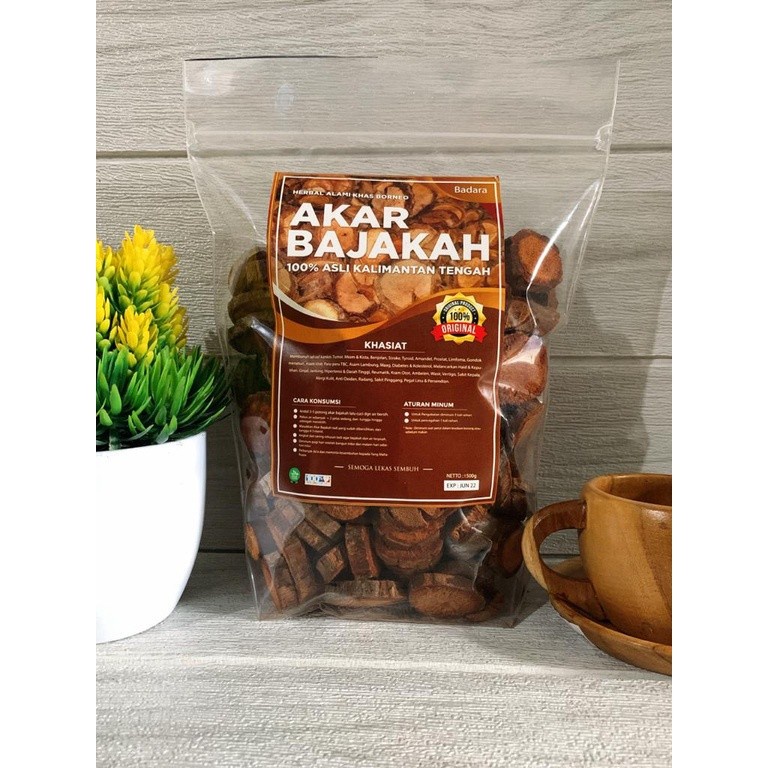 Jual Akar Bajakah Tampala Super 100 Asli 1 Kg Shopee Indonesia