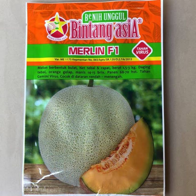 Jual Benih Melon Hibrida Merlin F Gram Cap Bintang Asia Shopee