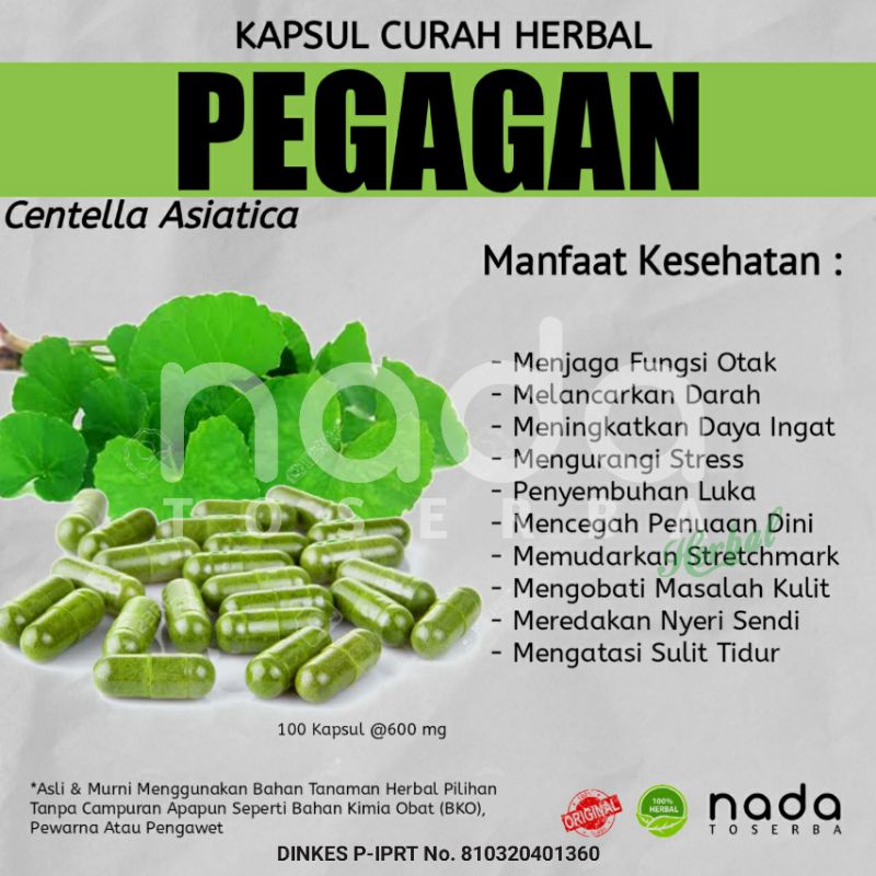 Jual Kapsul Pegagan Kapsul Curah Herbal Herbal Pelancar Darah Dan