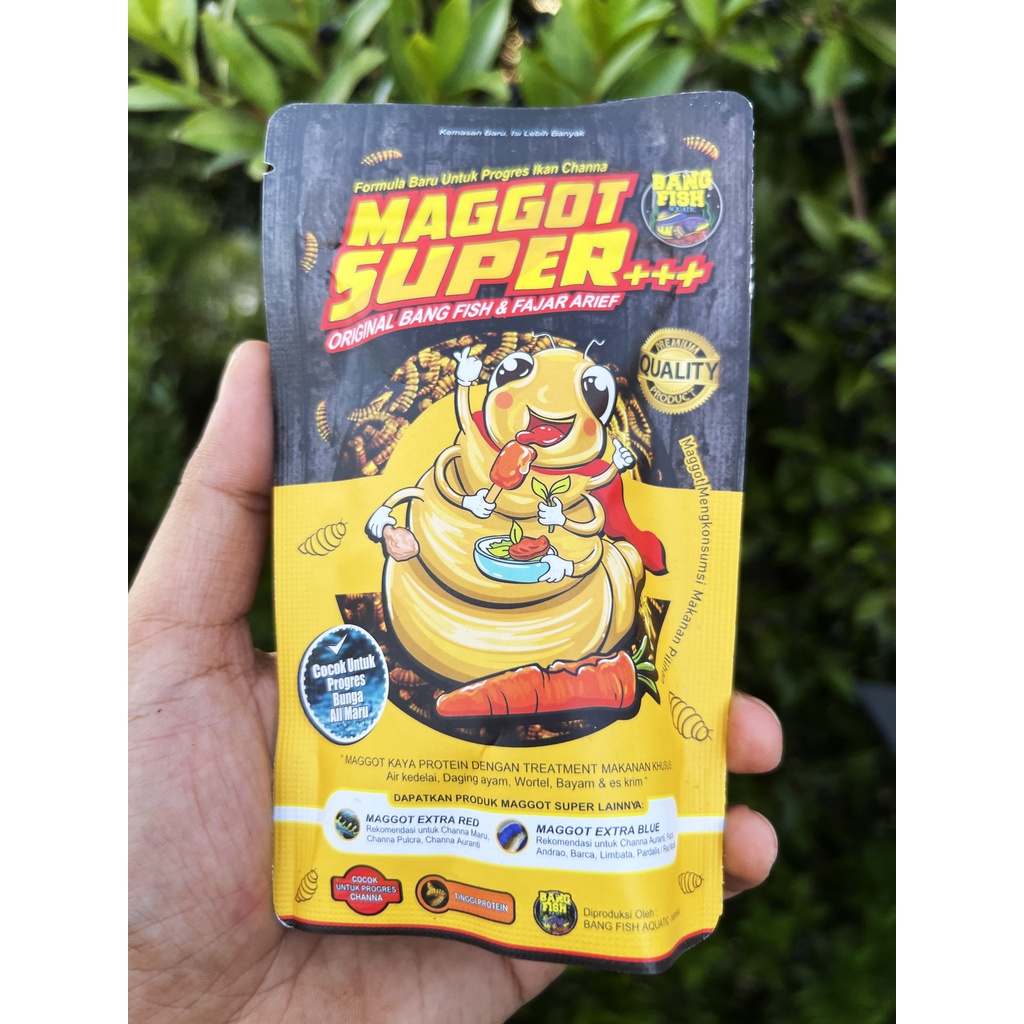 Jual Maggot Super Bangfish X Fajar Arief Extra Betacarotene Shopee