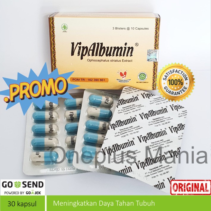 Jual VIPALBUMIN KAPSUL ISI 30 CAPS Shopee Indonesia