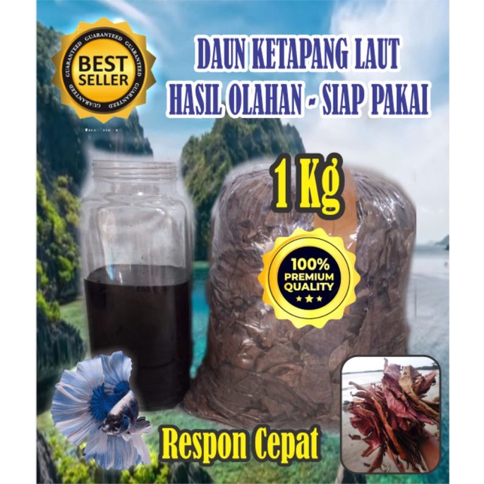 Jual Daun Ketapang Laut Olahan Siap Pakai Kg Shopee Indonesia