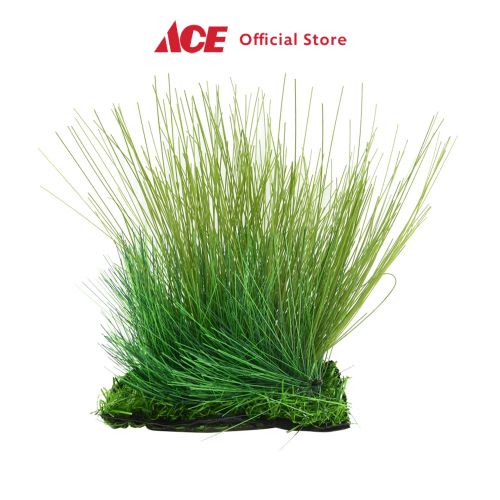 Jual Ace Fishland Tanaman Artifisial Akuarium Cm Shopee Indonesia