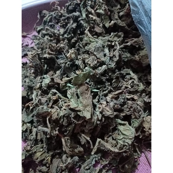 Jual Daun Dewa Kering 100 Gram Shopee Indonesia