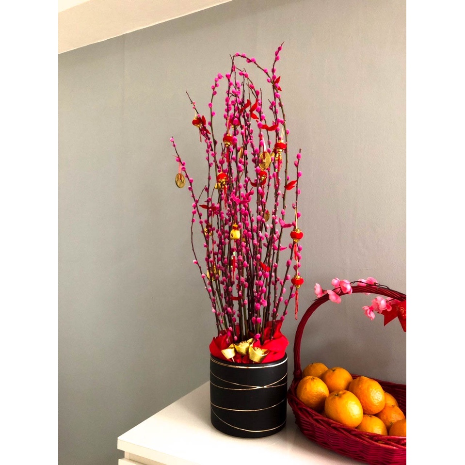 Jual Taman Boenga PUSSY WILLOW PUSSYWILLOW Imlek Chinese New Year