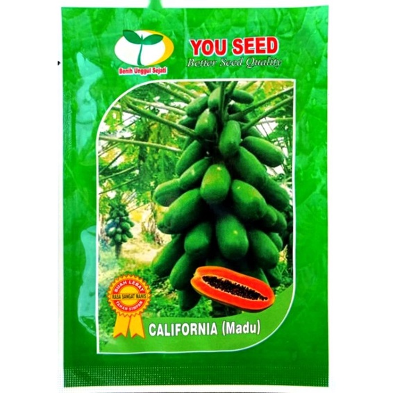 Jual Benih Pepaya California Madu Isi 1 Gram Dari You Seed Shopee