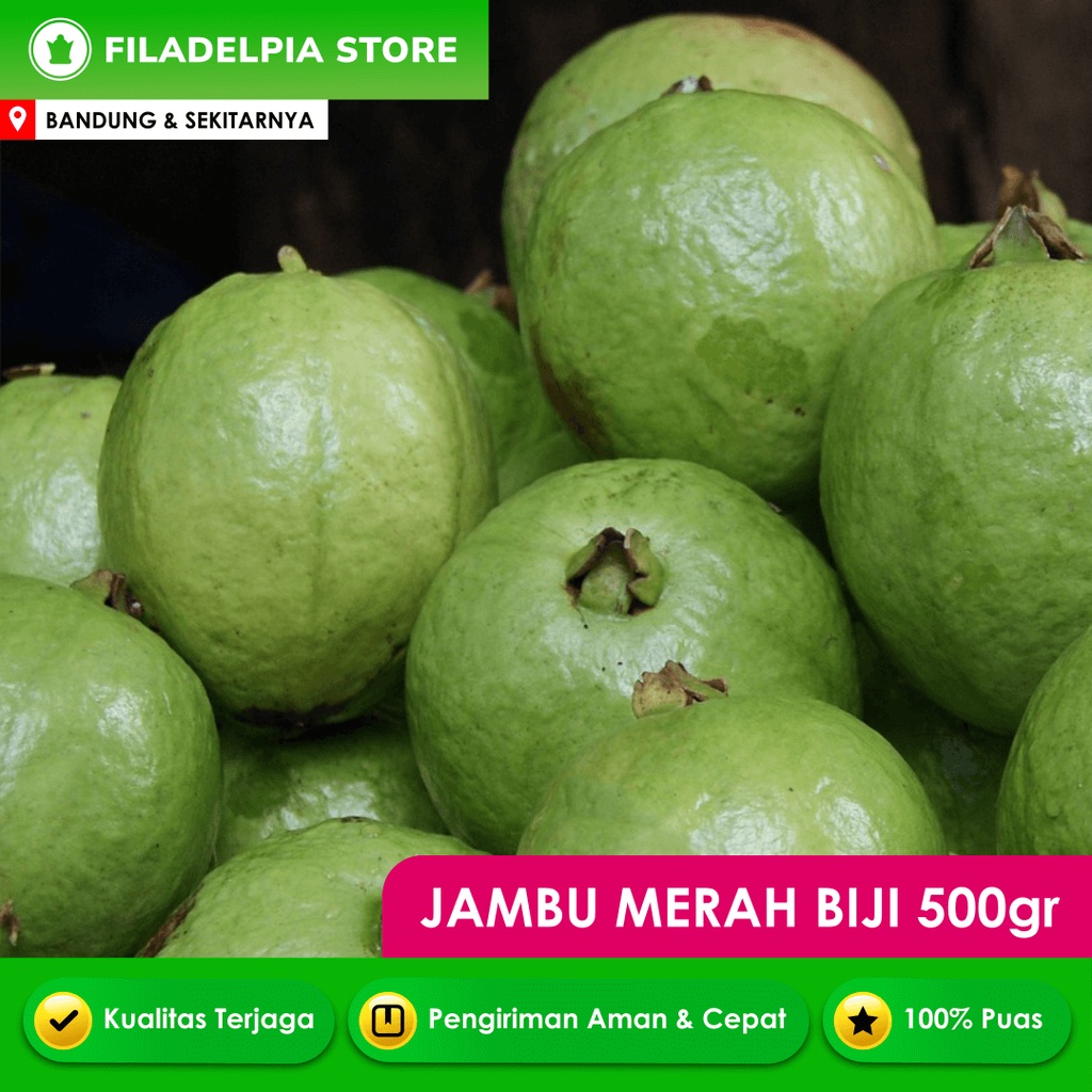 Jual Buah Jambu Merah 500gr 1kg Shopee Indonesia