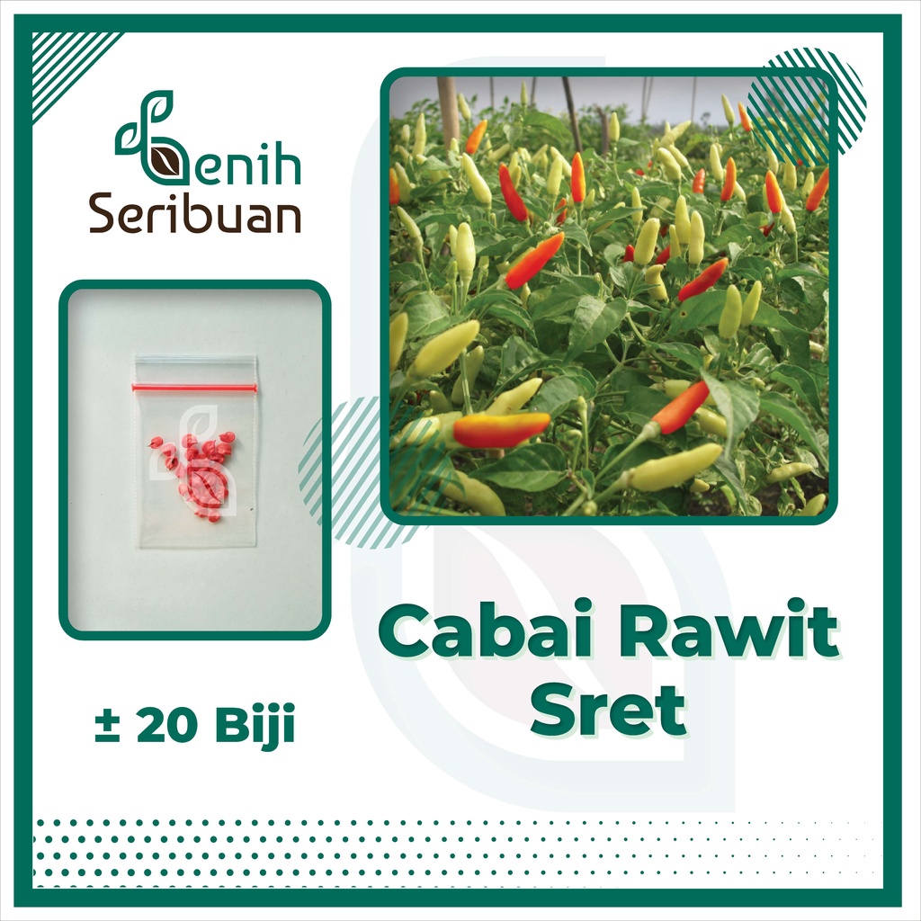 Jual Benih Seribuan 20 Bibit Cabe Rawit Sret Unggul Shopee Indonesia