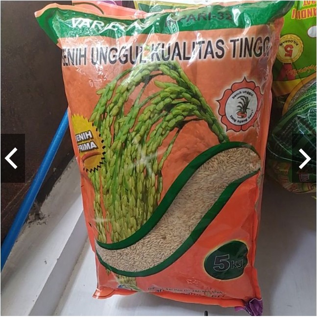 Jual Benih Bersertifikat Padi Unggul Varietas INPARI 32 Repack 1 Kg