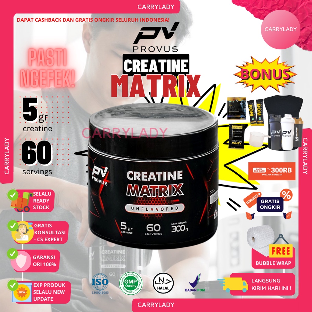 Jual PROVUS CREATINE MATRIX UNFLAVORED 300 GRAM GR 60 SERVING 100