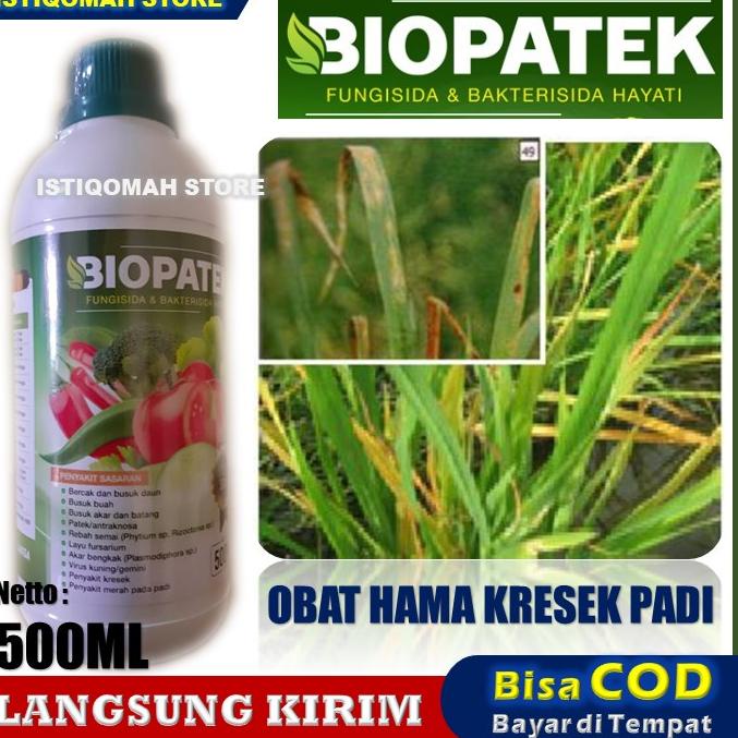 Jual Promo Terpopuler Buy Free Gold Biopatek Fungisida Hayati Obat