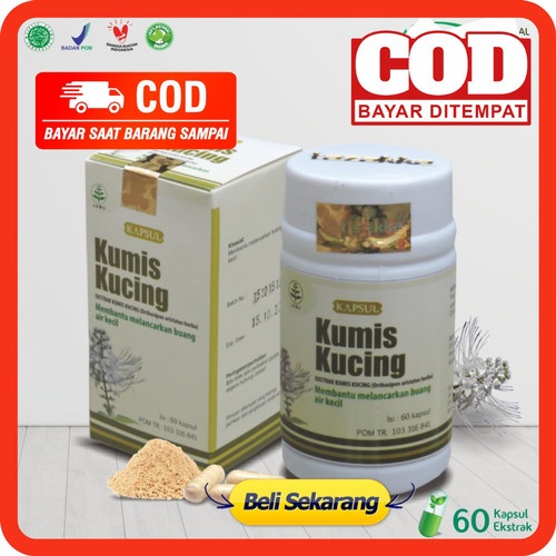 Jual DAUN KUMIS KUCING Ekstrak Herbal Tazakka Original Isi 60 Kapsul