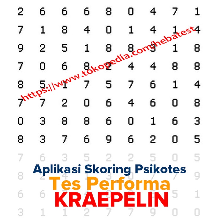 Jual Paket Alat Psikotes Dan Aplikasi Skoring Kraeplin Untuk Speed Test