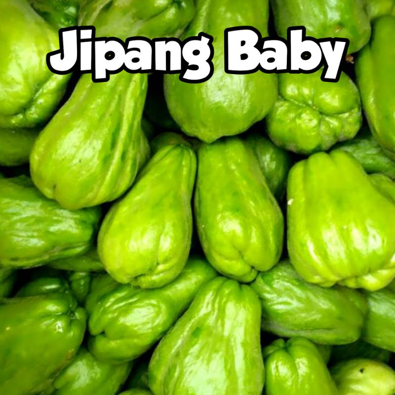 Jual Jipang Baby Lalap Labu Siam Baby Kecil Lalapan Sayur Segar