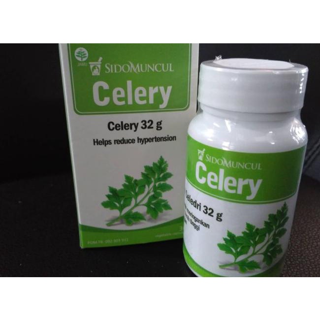 Jual Obat Herbal Sido Muncul Celery Hipertensi Tekanan Darah Tinggi