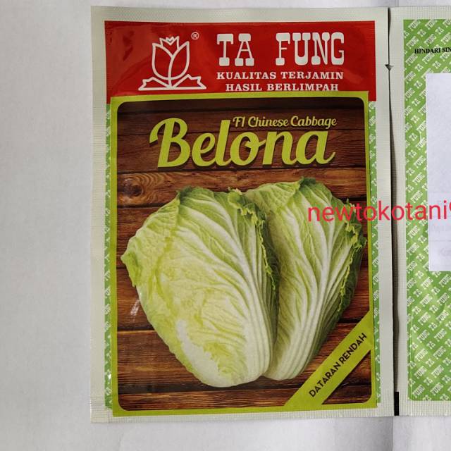 Jual Benih Kubis Sawi Putih Belona F Gram Chinese Cabbage Hibrida