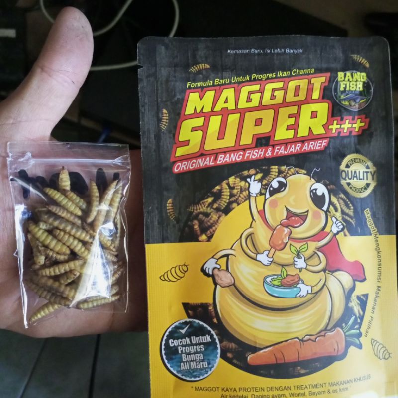 Jual Maggot Super Repack Gr Original Produk Bang Fish X Fajar