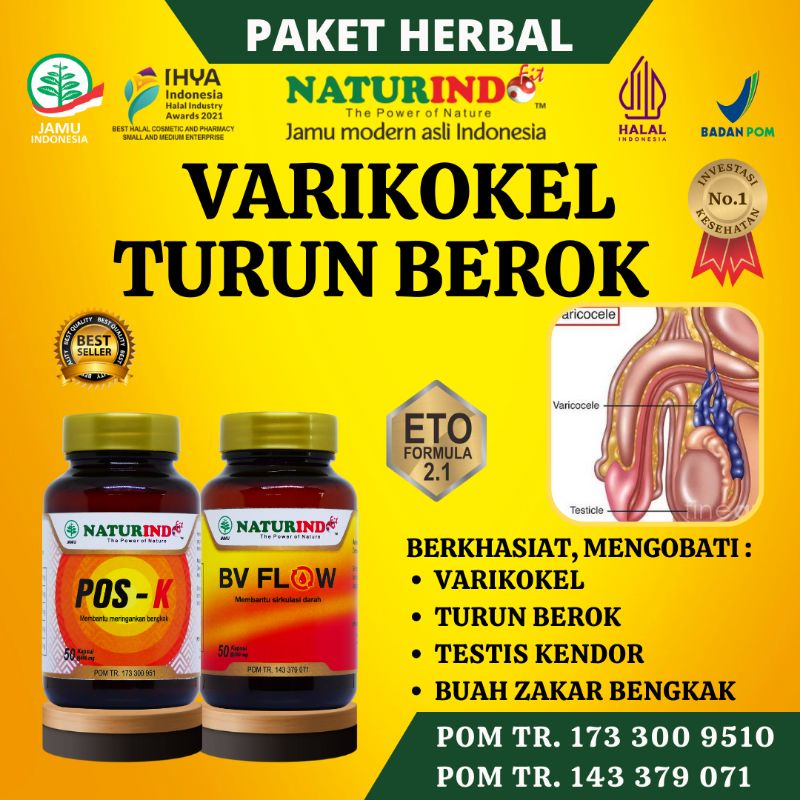 Jual Obat Varikokel Turun Berok Testis Varises Buah Zakar Kendor