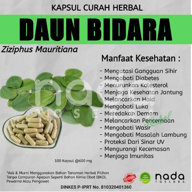 Jual Kapsul Daun Bidara Kapsul Herbal Curah Herbal Kolesterol Dan