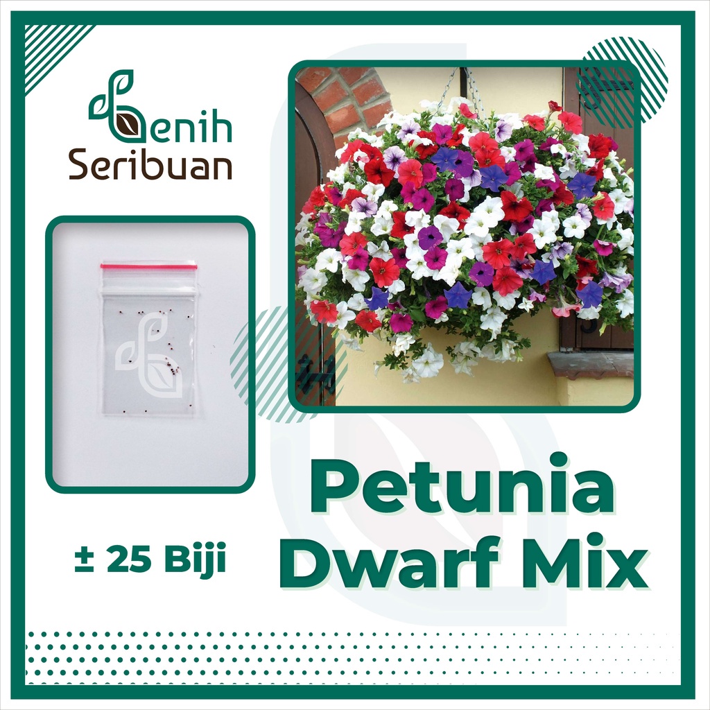 Jual Benih Seribuan 25 Bibit Bunga Petunia Dwarf Mix Unggul Shopee