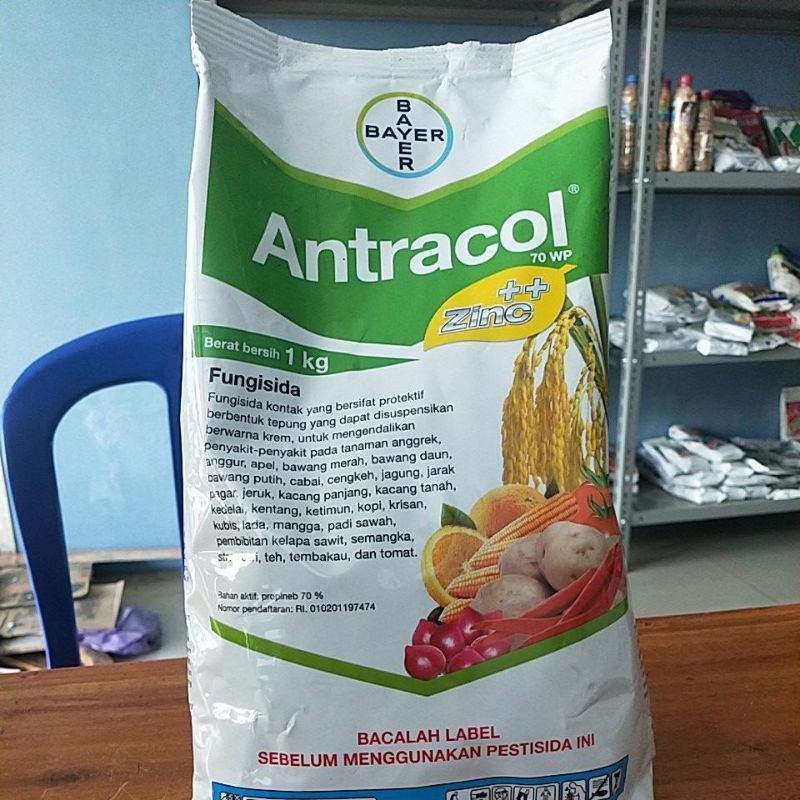 Jual FUNGISIDA ANTRACOL 70 WP ZINC KEMASAN 1 KG Shopee Indonesia