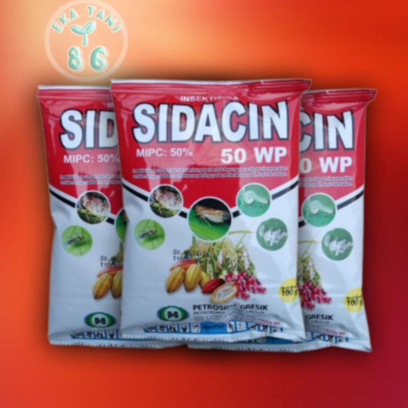 Jual SIDACIN 50 WP 100 GRAM INSEKTISIDA PEMBASMI HAMA TANAMAN Shopee