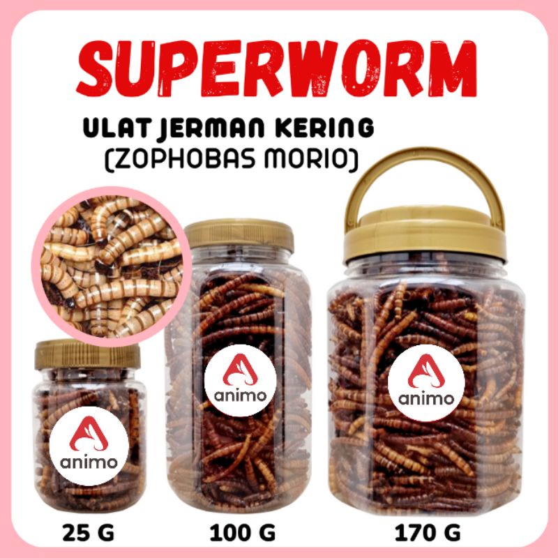 Jual Ulat Jerman Dried Superworm Gram Hamster Burung Sugar