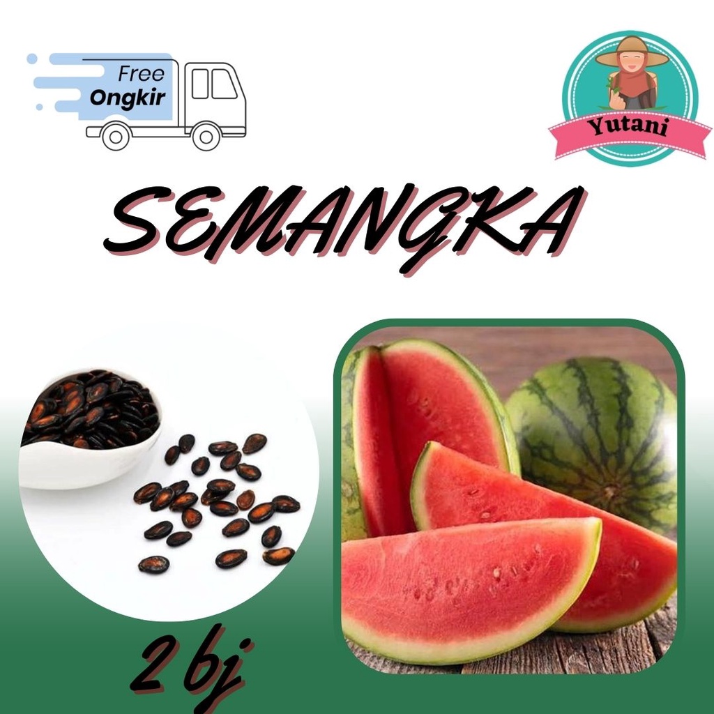 Jual Benih Semangka Non Biji F Hibrida Tanaman Buah Berkualitas Unggul