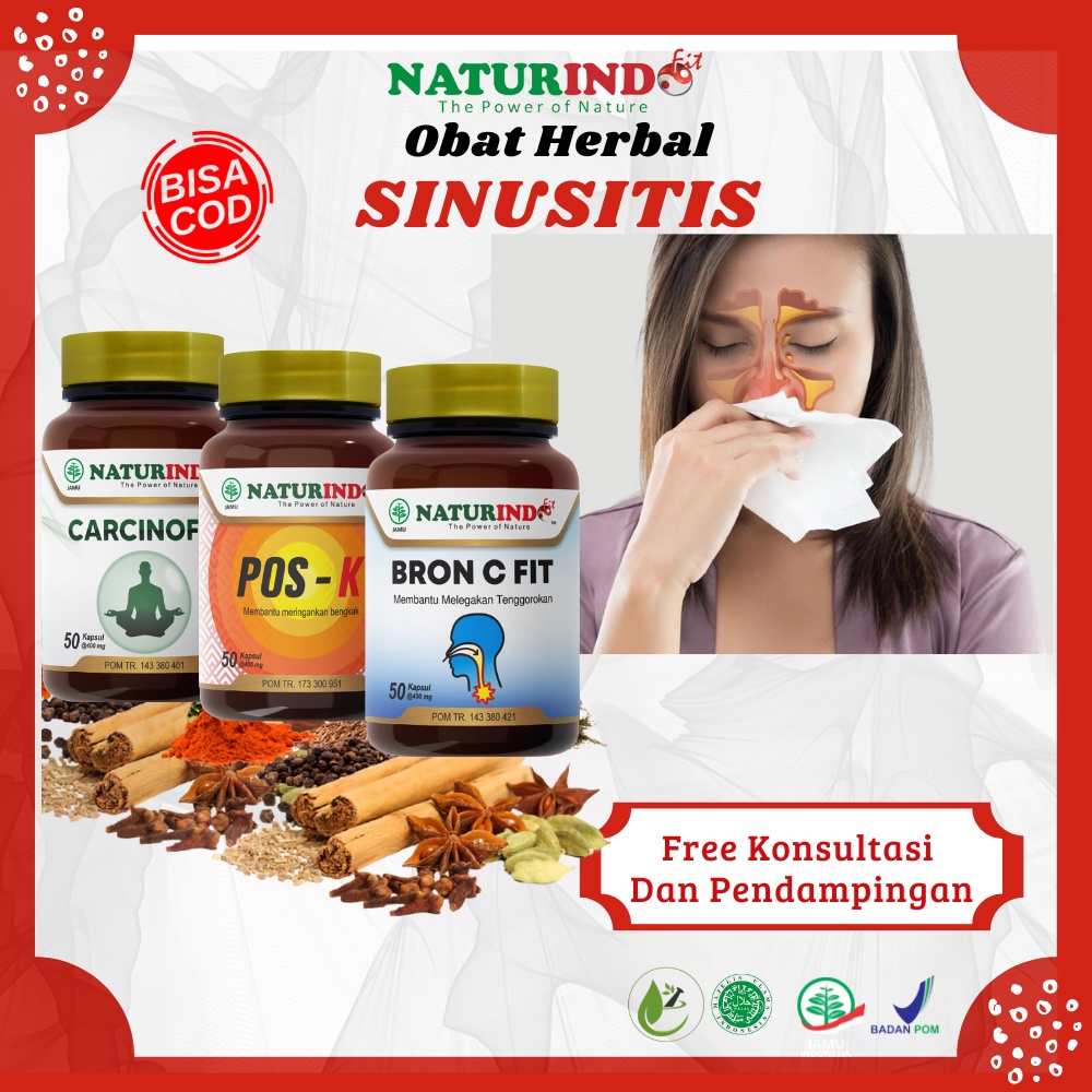 Jual Obat Sinusitis Sinus Rinitis Polip Hidung Flu Pilek Menahun Hidung